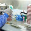 Patru pacienți internați la Spitalul Clinic Județean de Urgență Arad, au fost diagnosticați cu virusul gripal, de tip A!