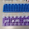 Pacientul cu Hantavirus a fost diagnosticat cu tulpinile existente în România! Nu se transmit de la om la om!